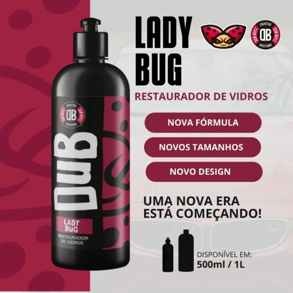Lady Bug (2)
