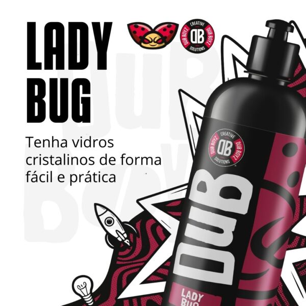 Lady Bug (3)